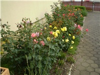 3ed406d8-Picture 5982.jpg